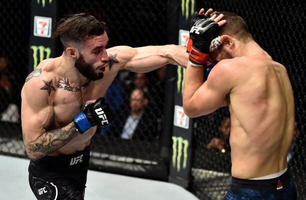 BOSTON, MA - JANUARY 20:  (L-R) Shane Burgos punches Calvin Kattar in their featherweight bout during the UFC 220 event at TD Garden on January 20, 2018 in Boston, Massachusetts. (Photo by Jeff Bottari/Zuffa LLC/Zuffa LLC via Getty Images)